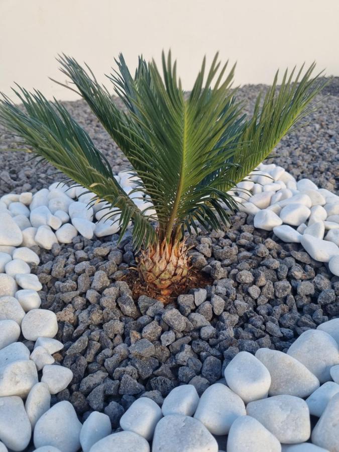 Luxury Villa Lanzarote Playa Blanca  Exterior photo